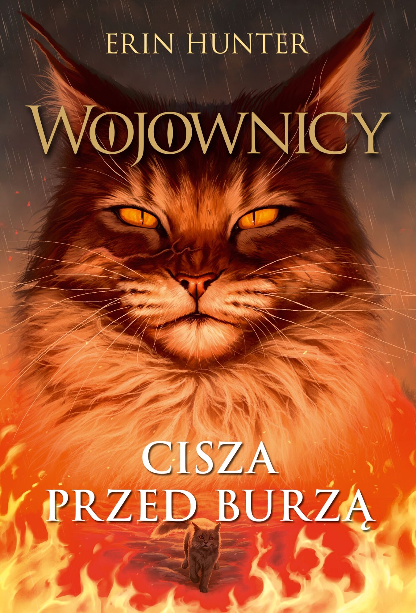 Cisza przed burzą, Wojownicy, Tom IV (audiobook MP3)