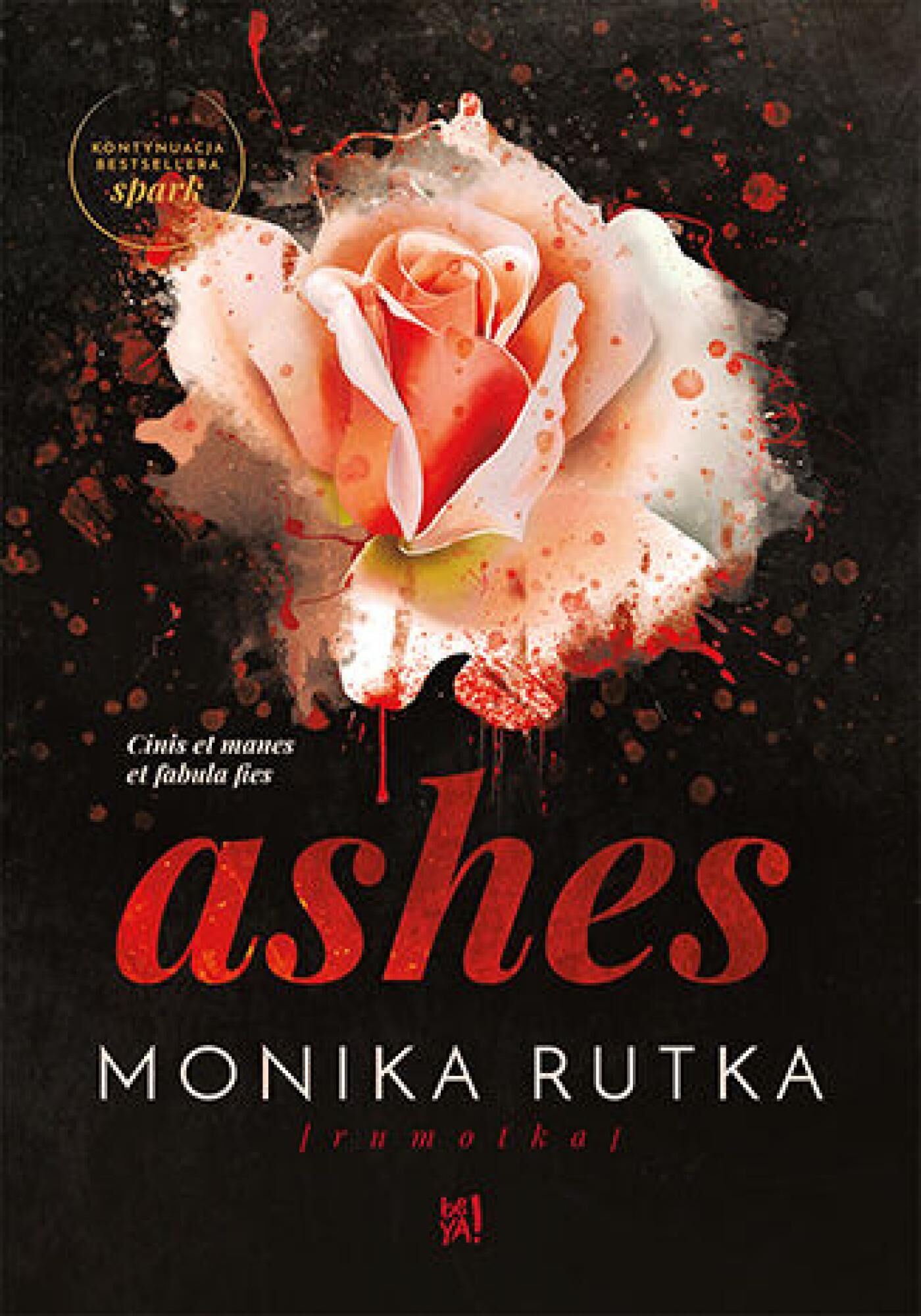 Ashes (e-book)
