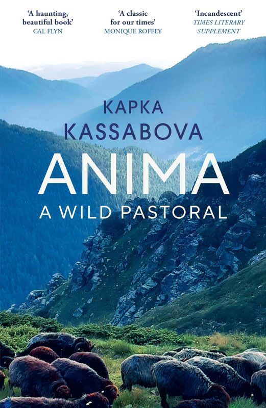 Anima wer. angielska
