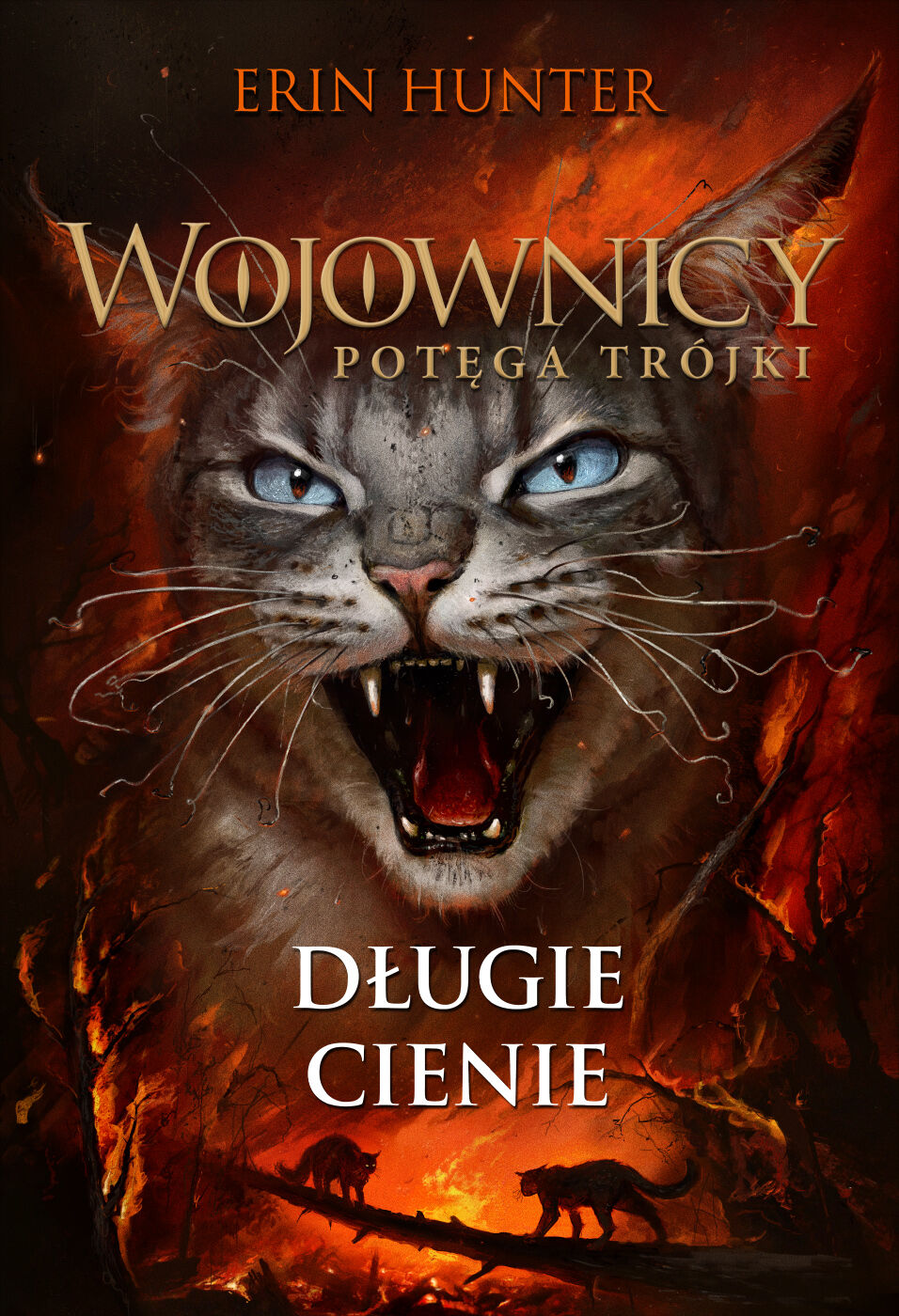 Długie cienie (WOJOWNICY XVII. POTĘGA TRÓJKI) Nowa Baśń