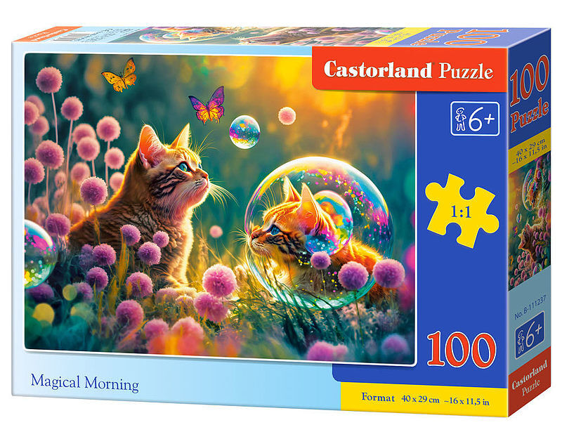 Puzzle 100 magical morning b-111237