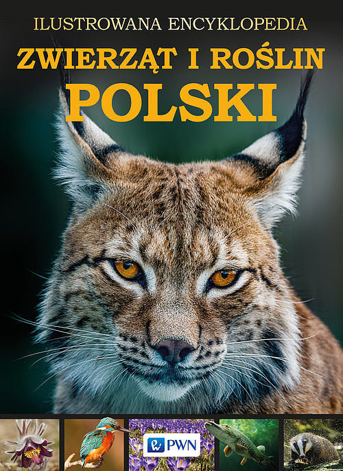 Ilustrowana Encyklopedia Zwierząt I Roślin Polski