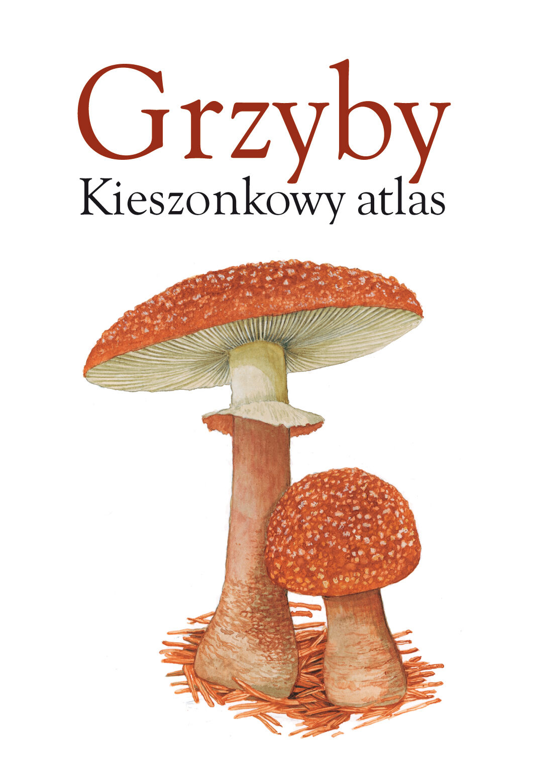 Grzyby. Kieszonkowy atlas