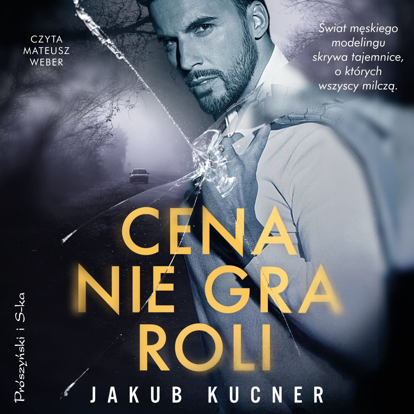 Cena nie gra roli (audiobook MP3)