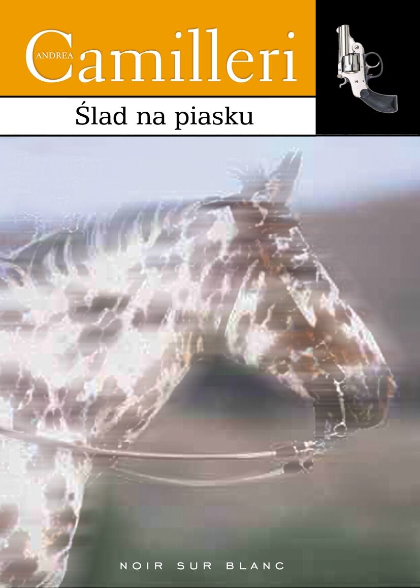 Ślad na piasku (e-book)