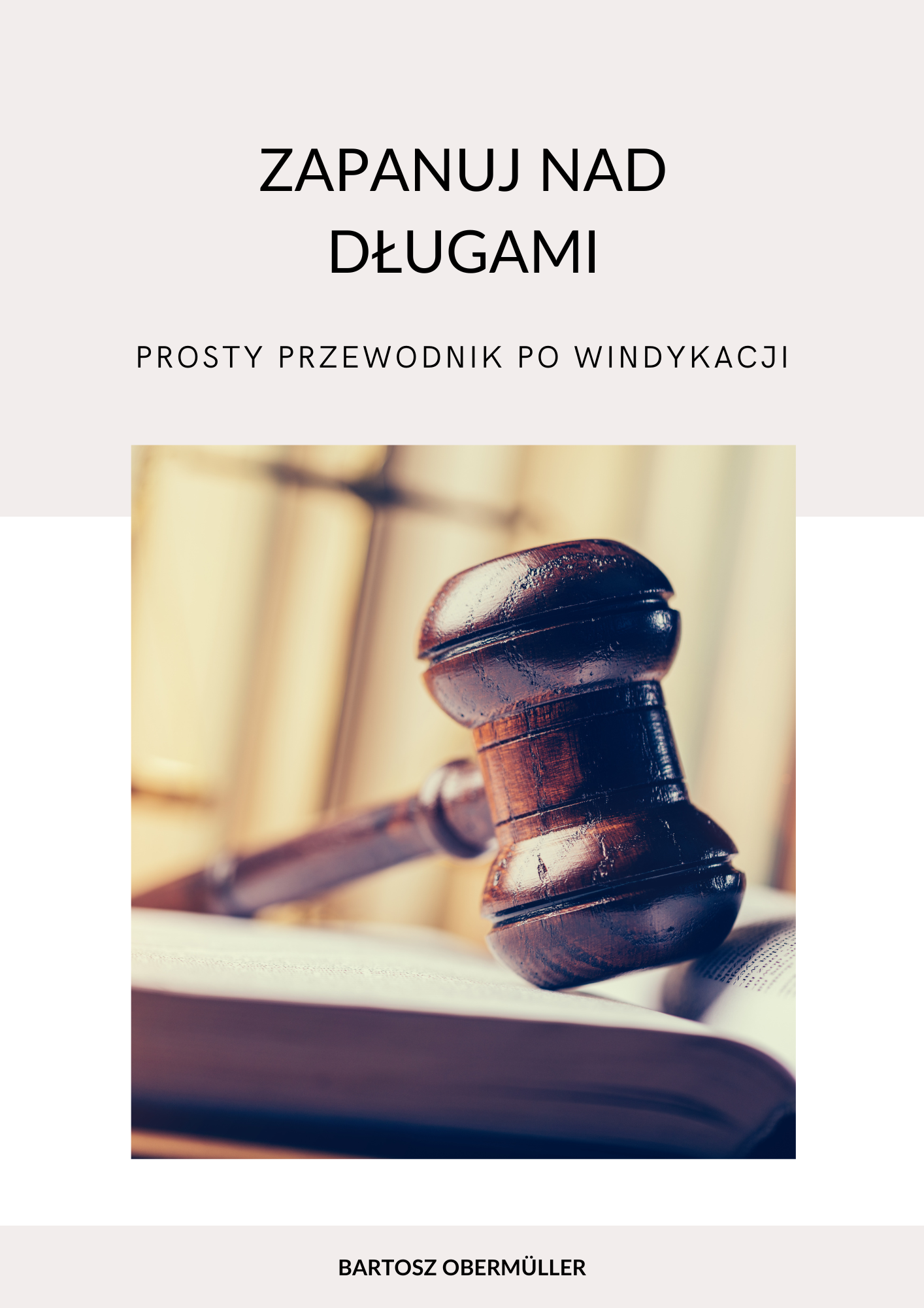 Zapanuj nad długami. Prosty przewodnik po windykacji (e-book)