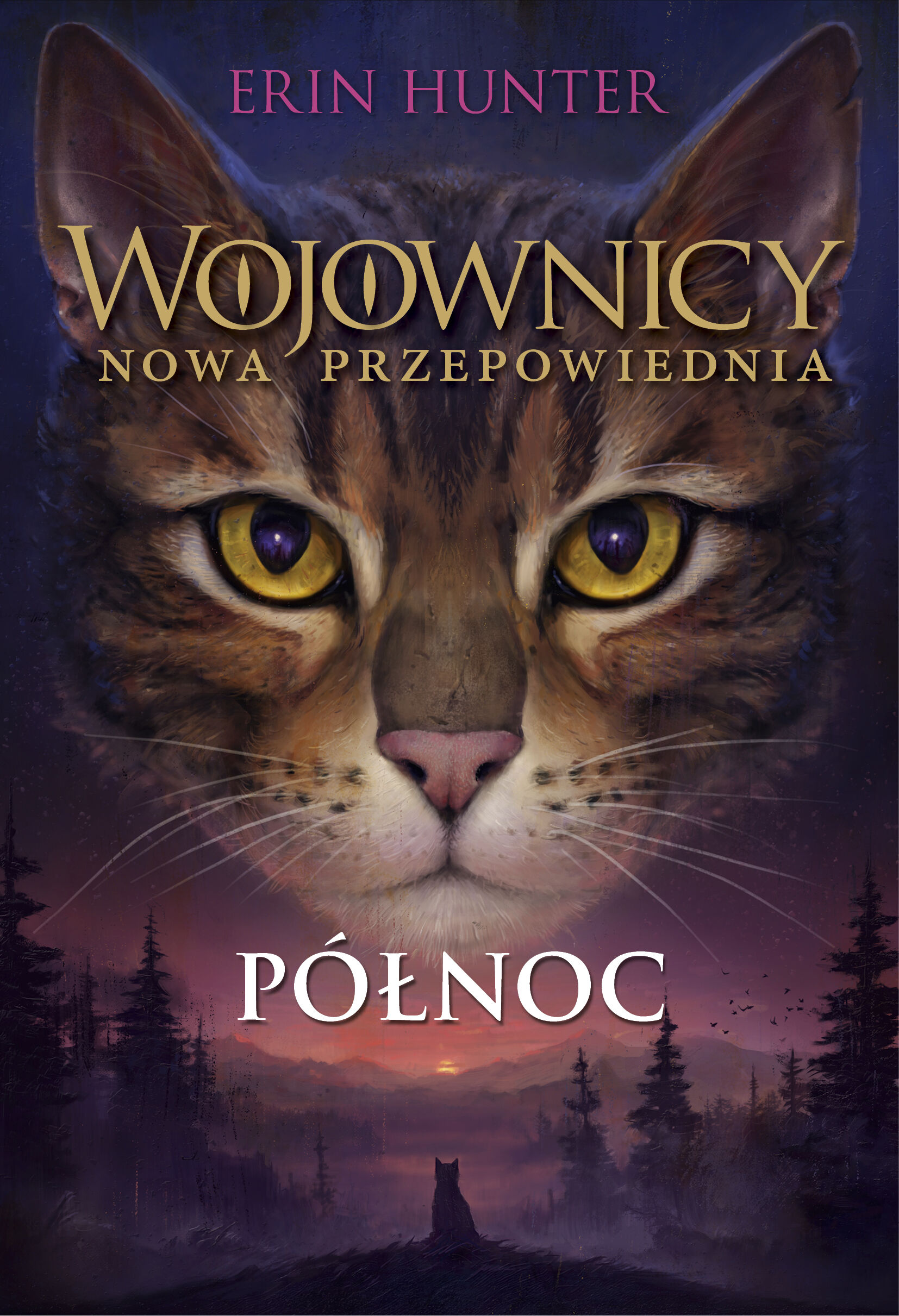 Północ, Wojownicy, Tom VII (e-book)