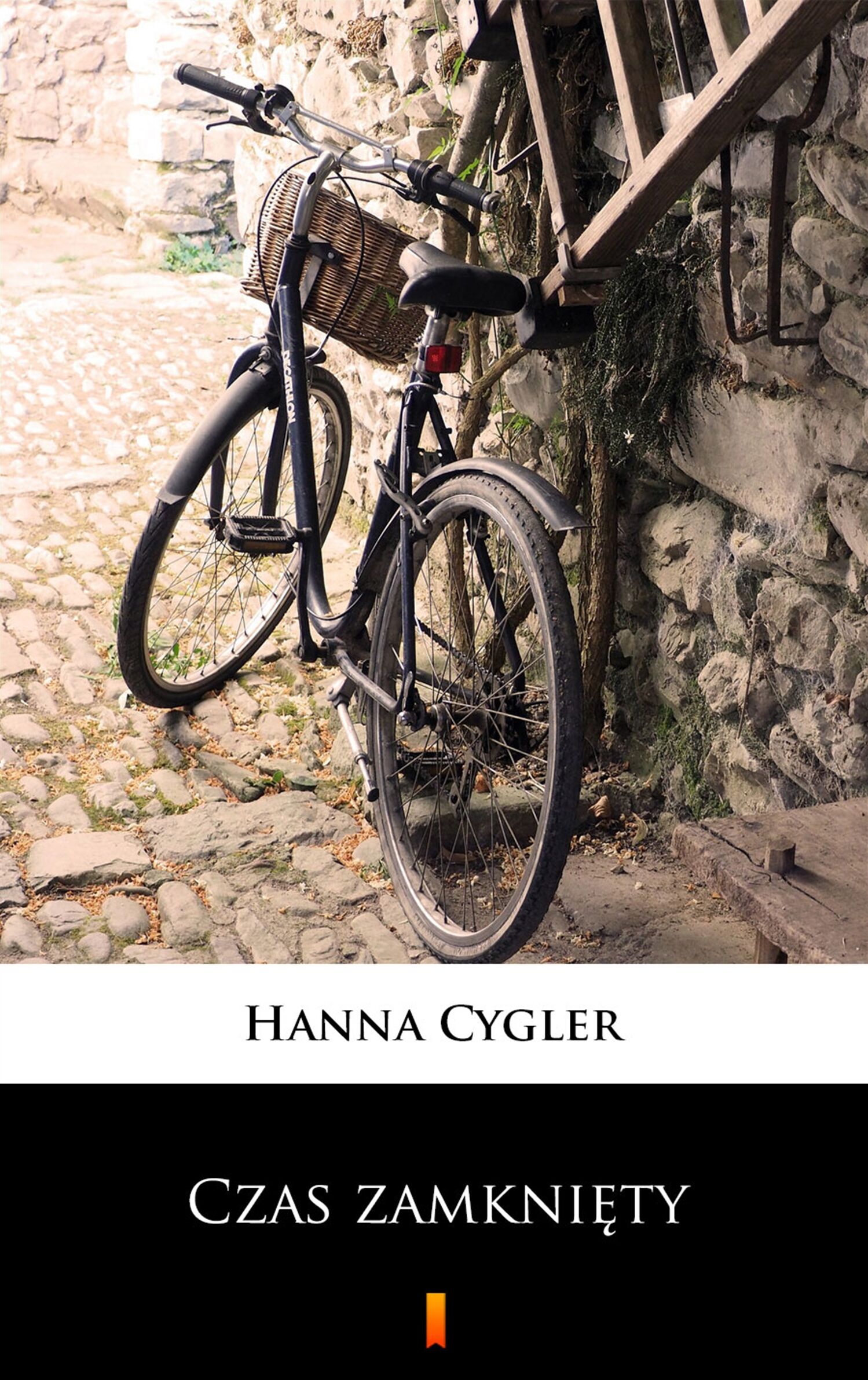 Czas zamknięty (e-book)