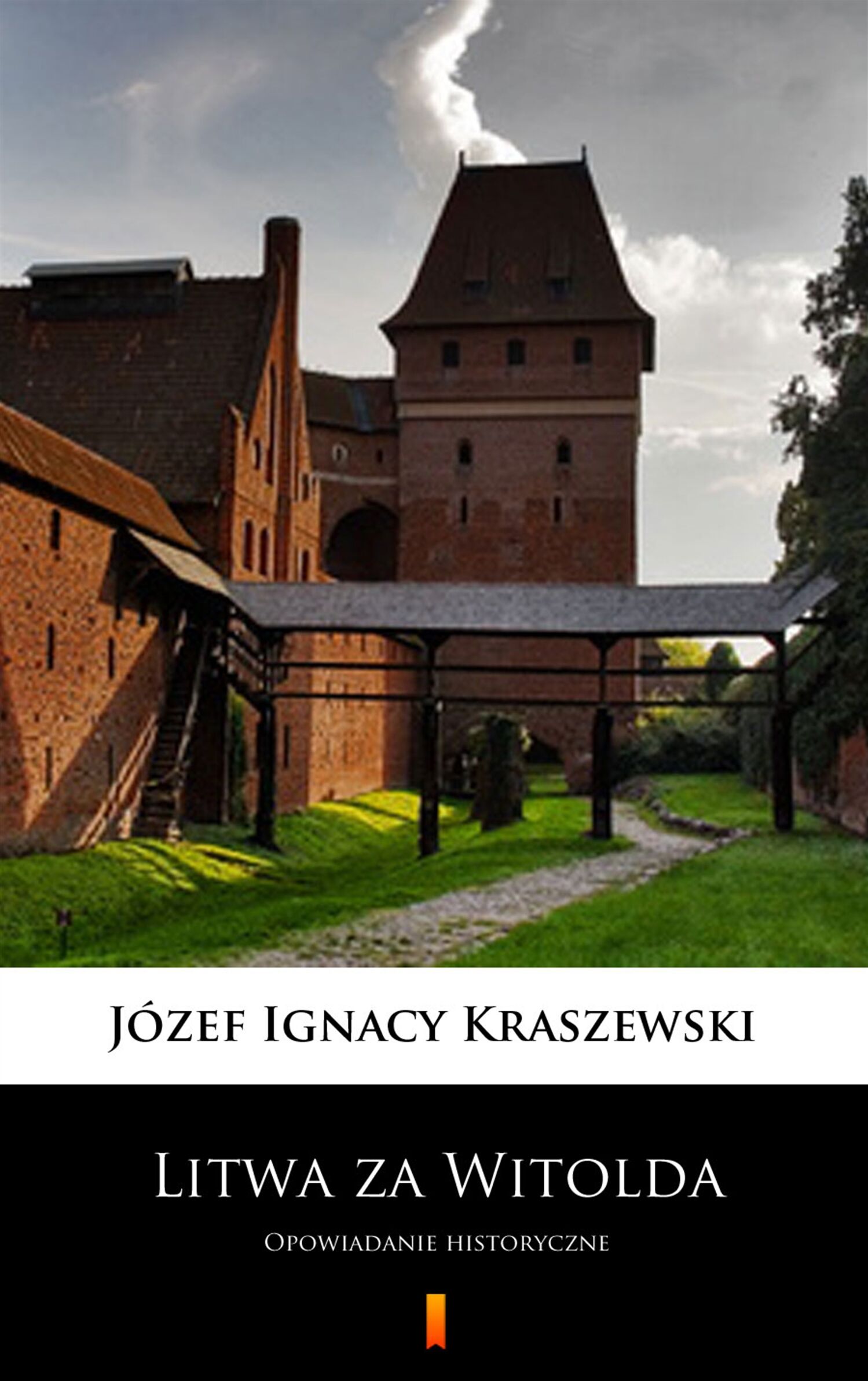 Litwa za Witolda (e-book)