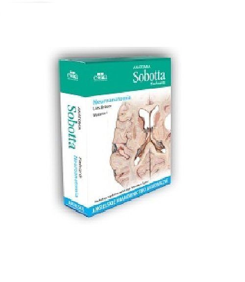 Anatomia Sobotta Flashcards Neuroanatomia.
