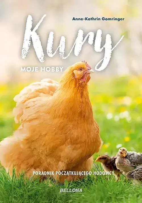 Kury - moje hobby