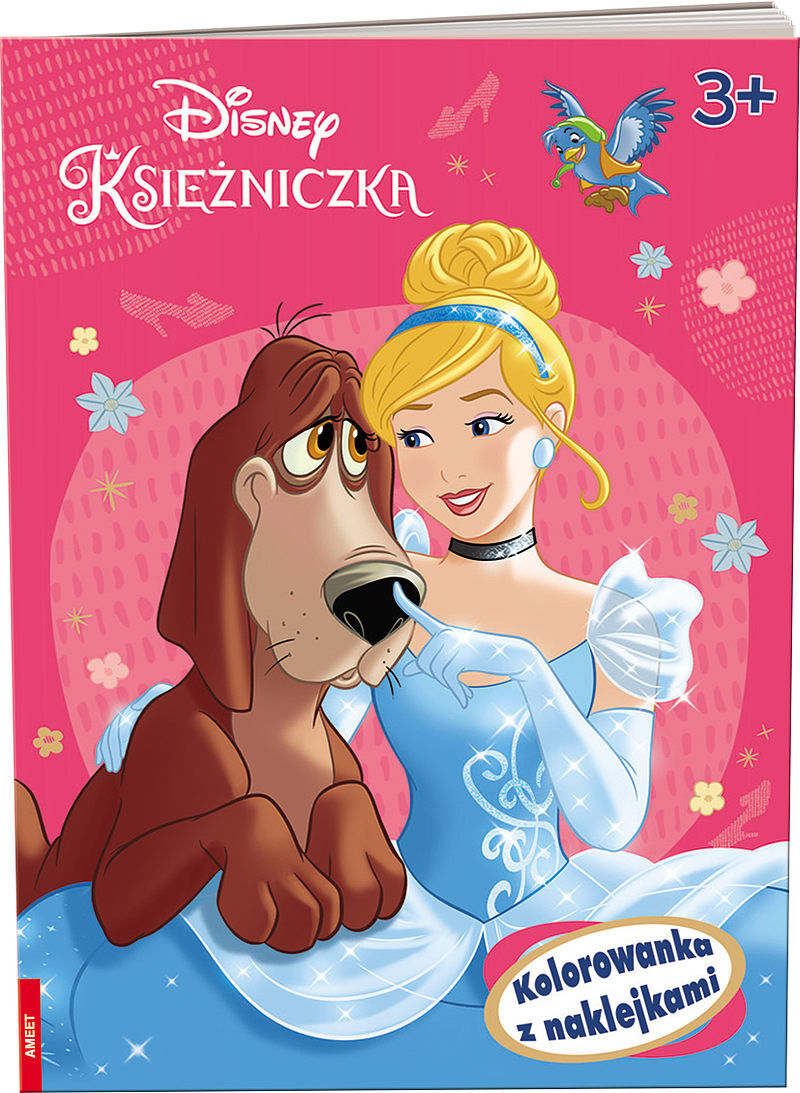 Księżniczka. Kolorowanka z naklejkami