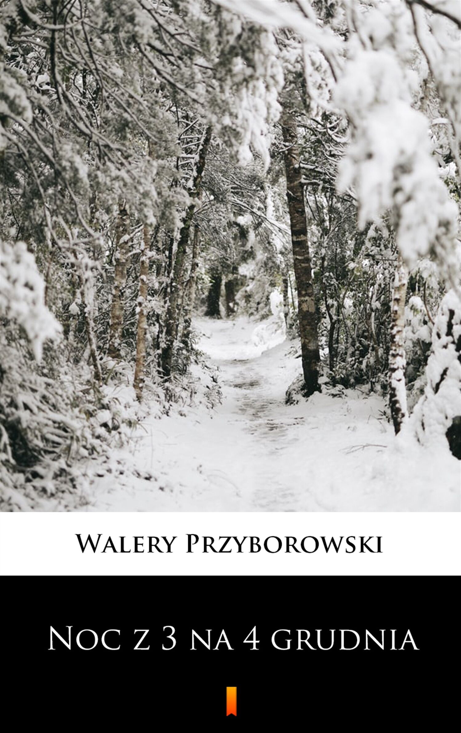 Noc z 3 na 4 grudnia (e-book)