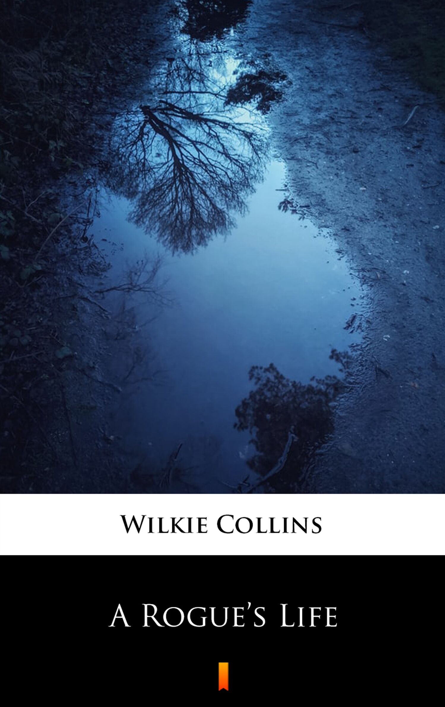 A Rogue’s Life (e-book)
