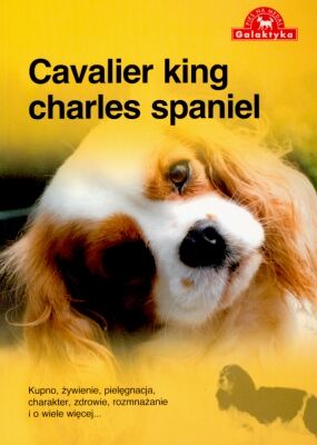 Cavalier king charles spaniel pies na medal wyd. 2011