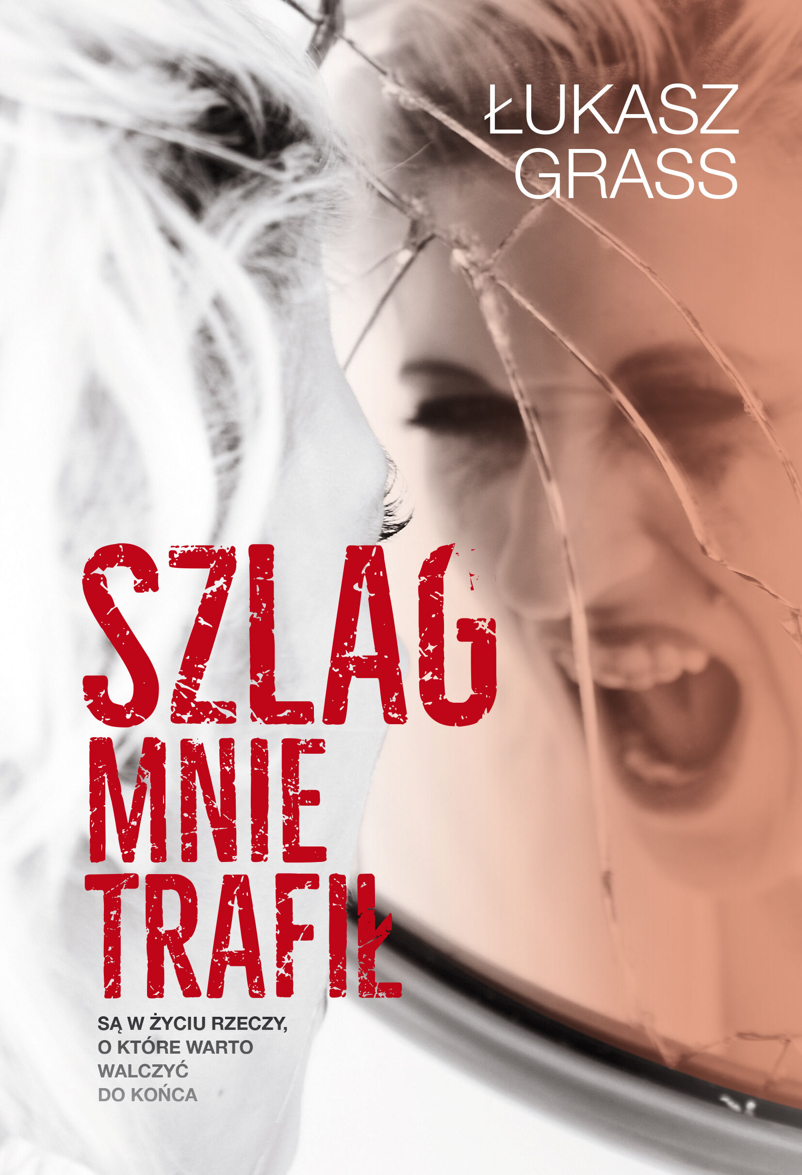Szlag mnie trafił (e-book)