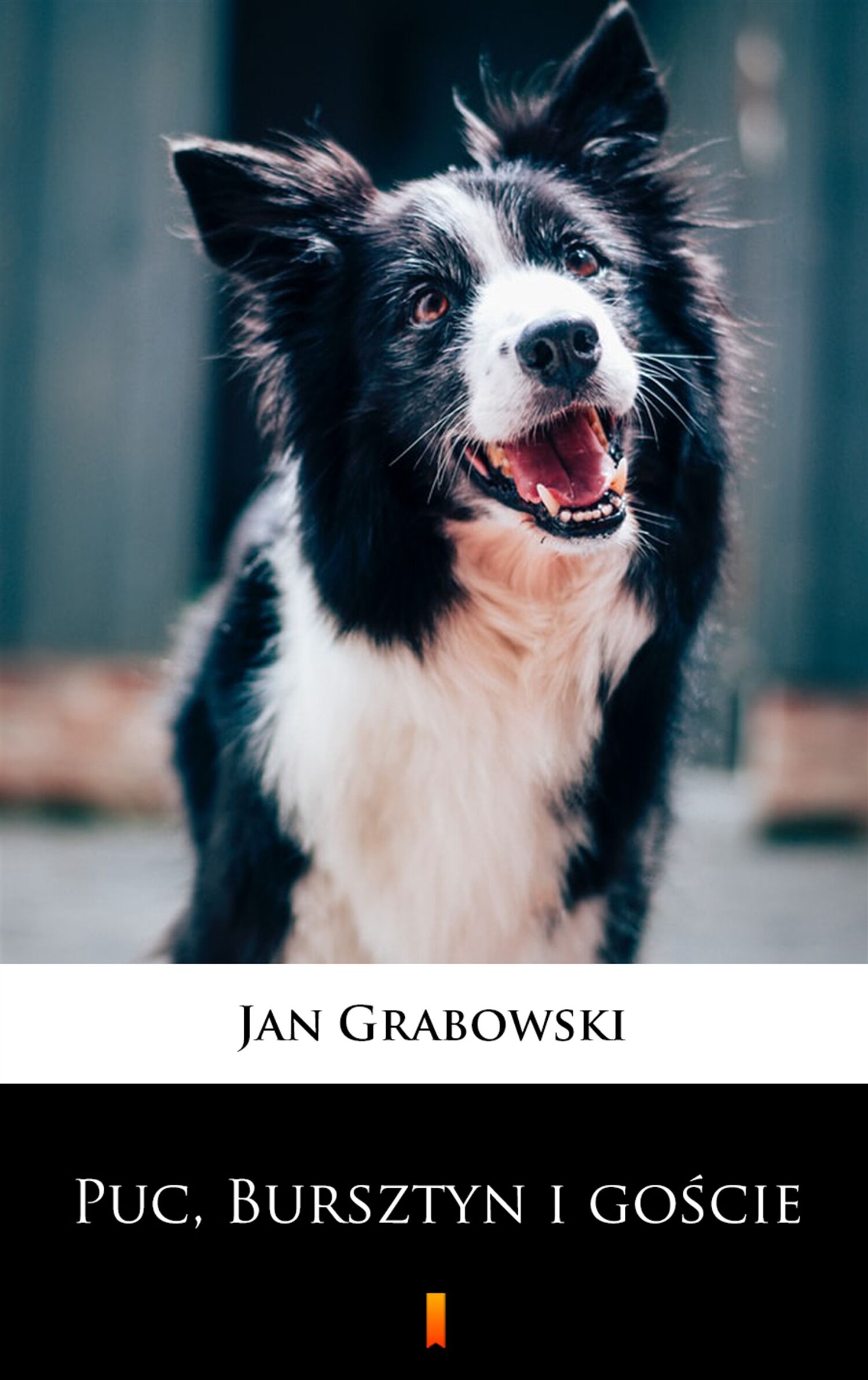 Puc, Bursztyn i goście (e-book)