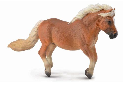 Kucyk Shetland Chestnut