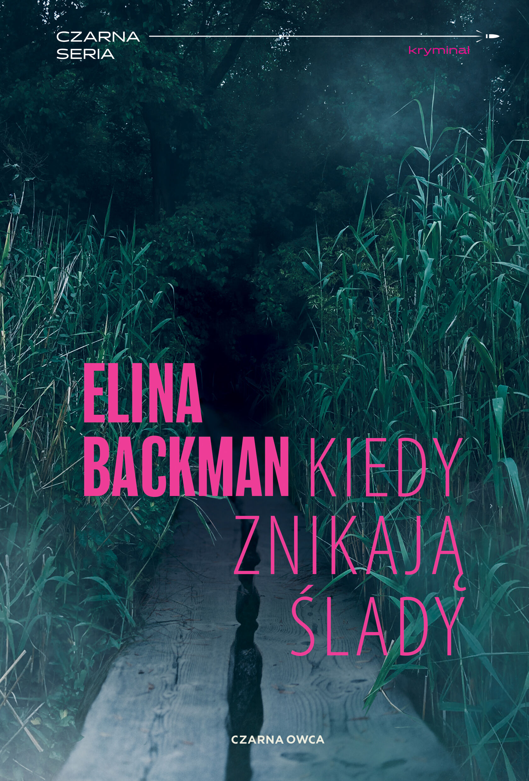 Kiedy znikają ślady (e-book)