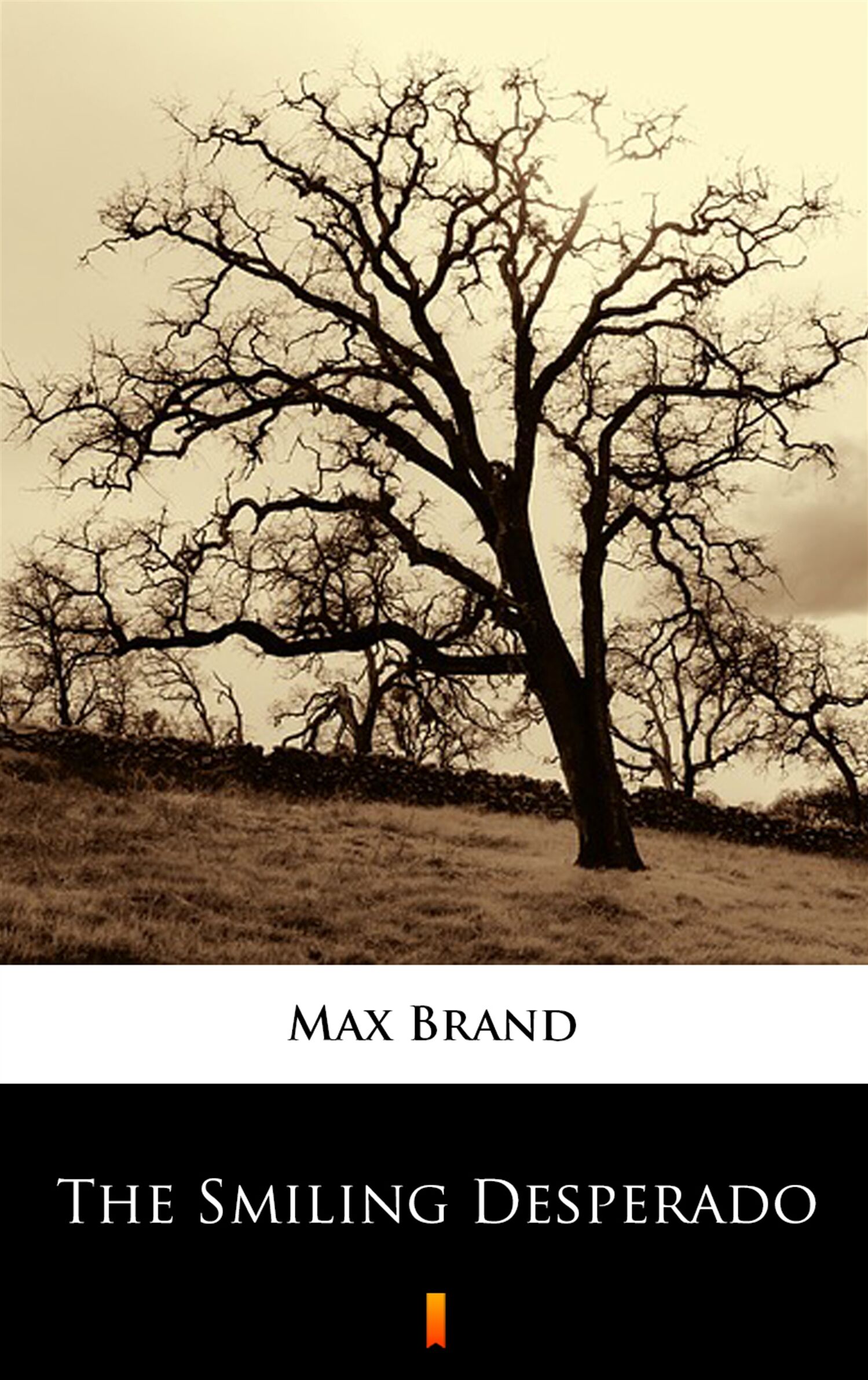 The Smiling Desperado (e-book)