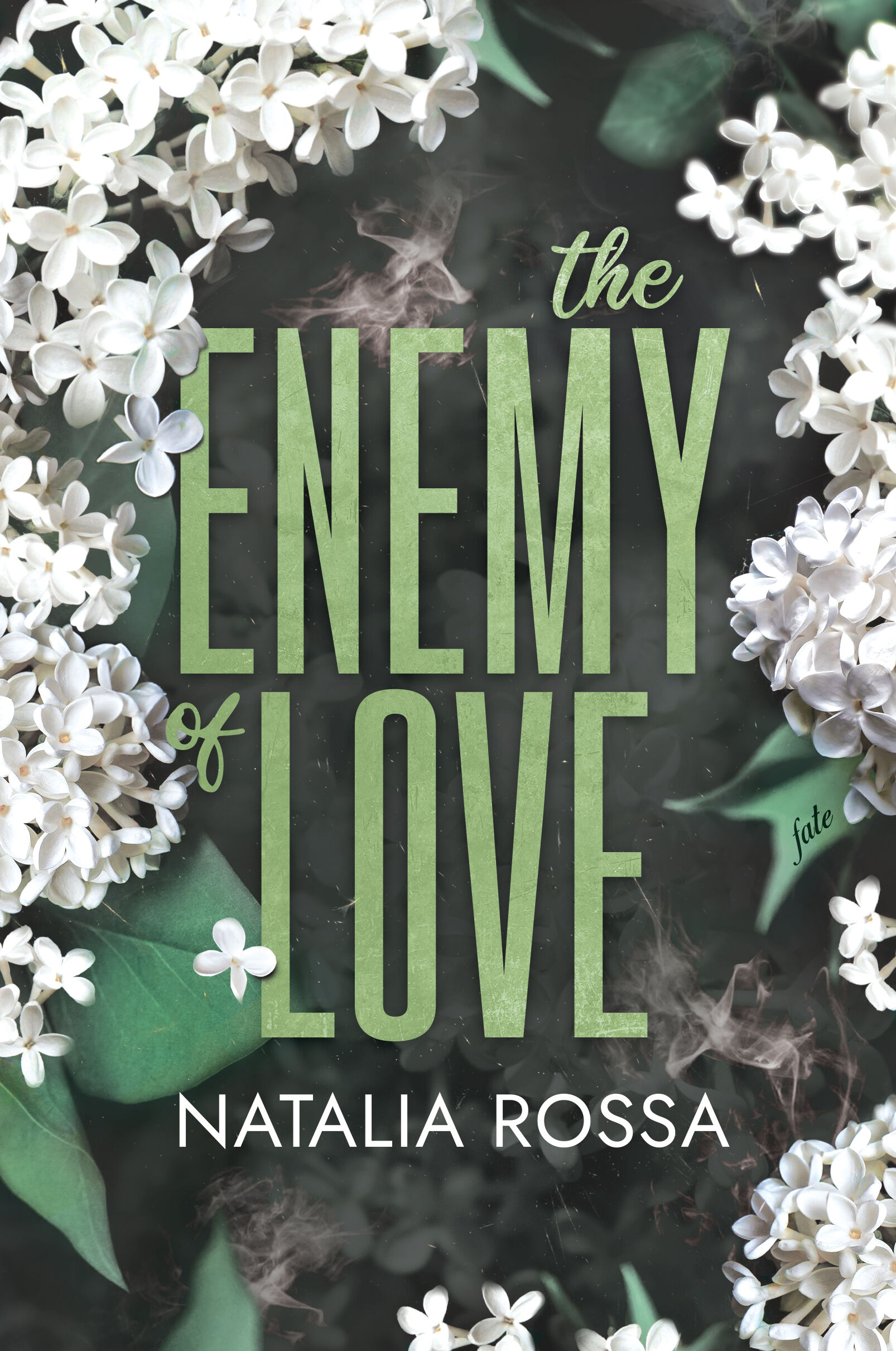 The Enemy of Love (e-book)