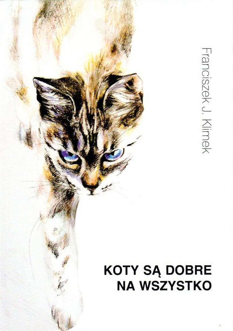 Koty są dobre na wszystko