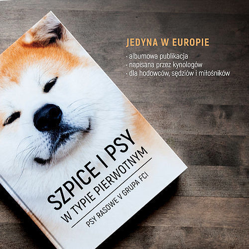 Szpice i psy w typie pierwotnym Psy rasowe V grupa FCI / Kyno