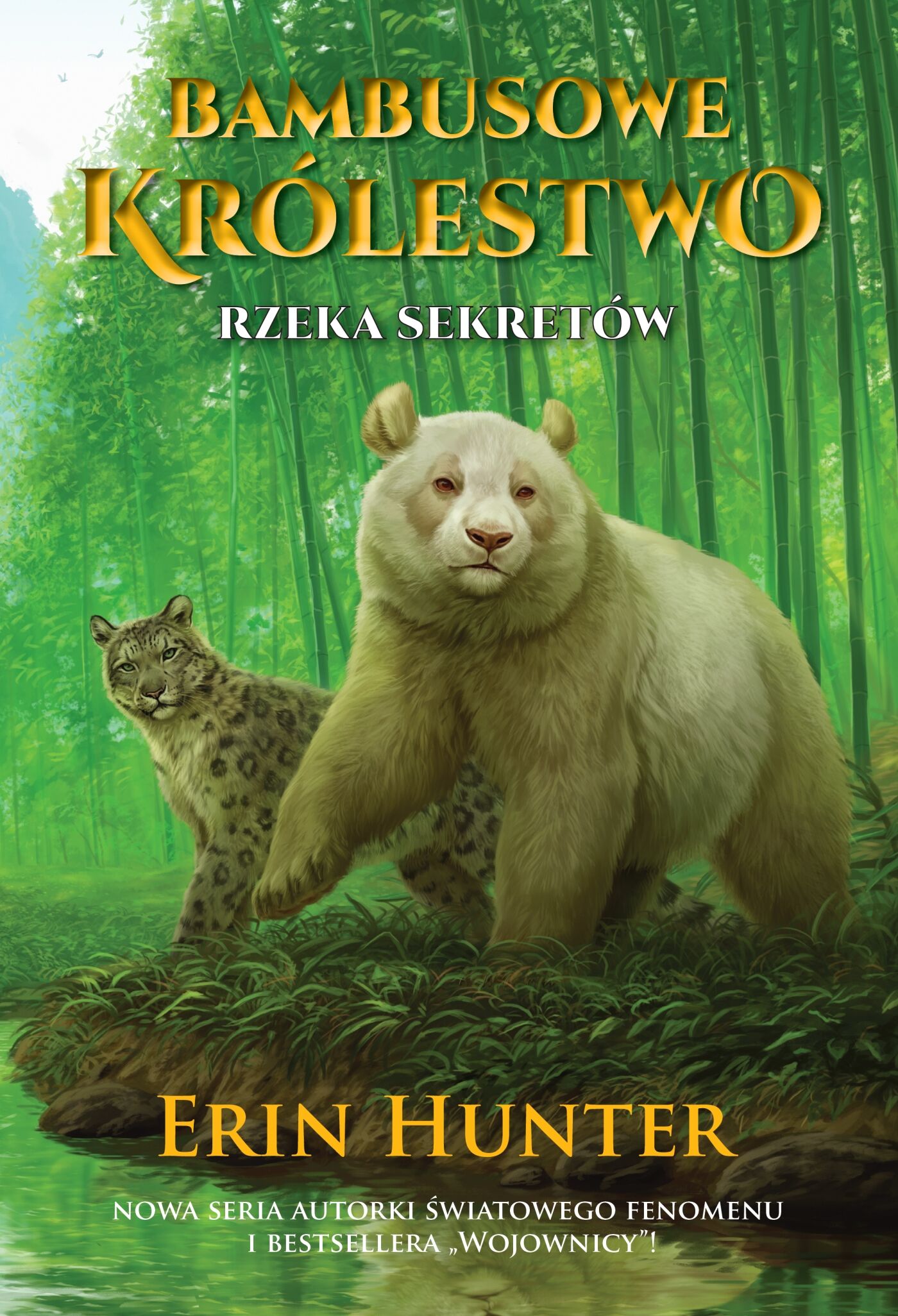 Rzeka Sekretów (e-book)