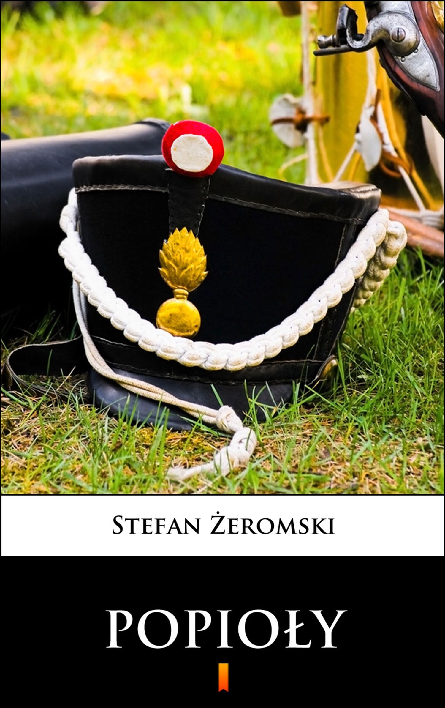 Popioły (e-book)