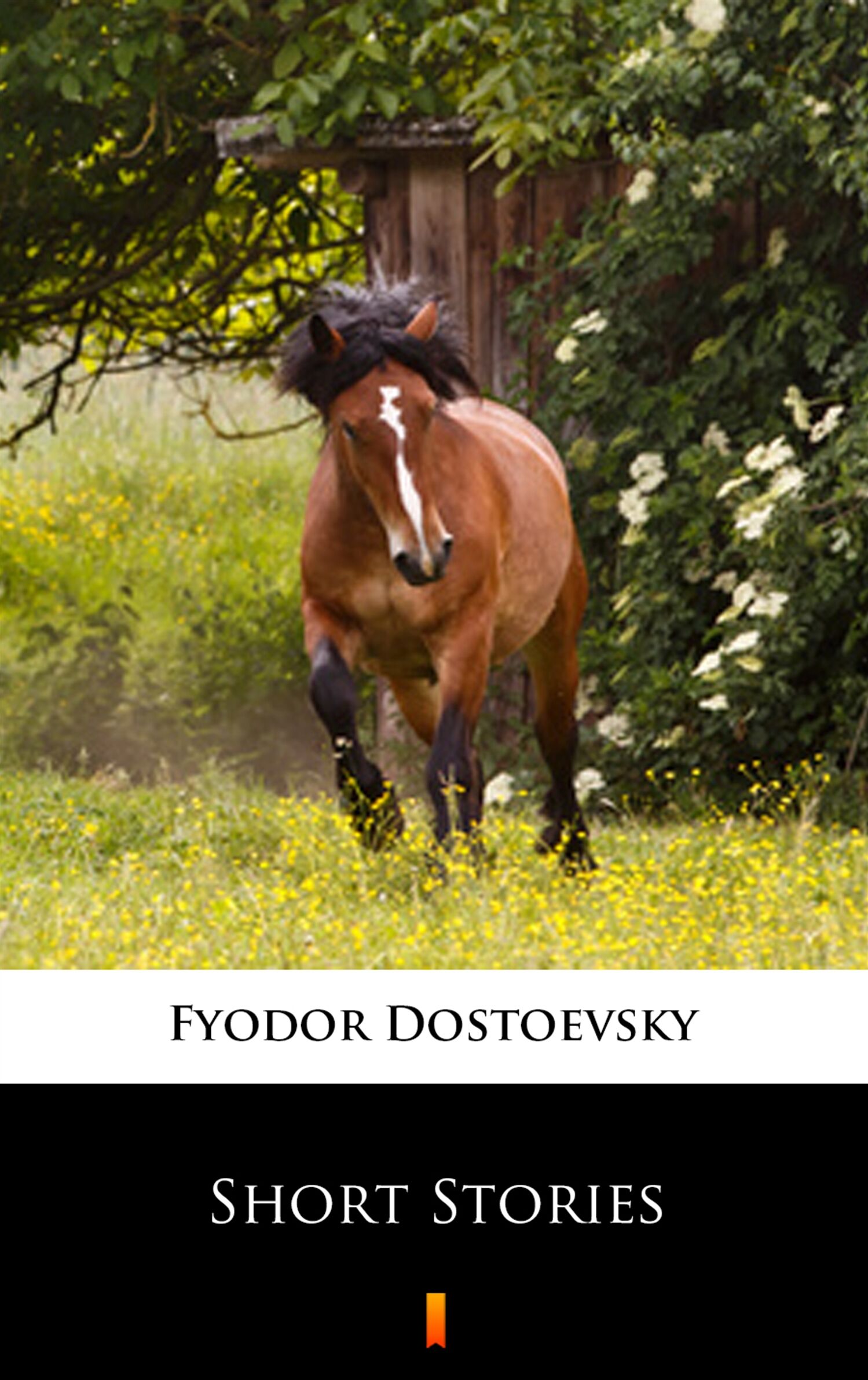 Short Stories (e-book)