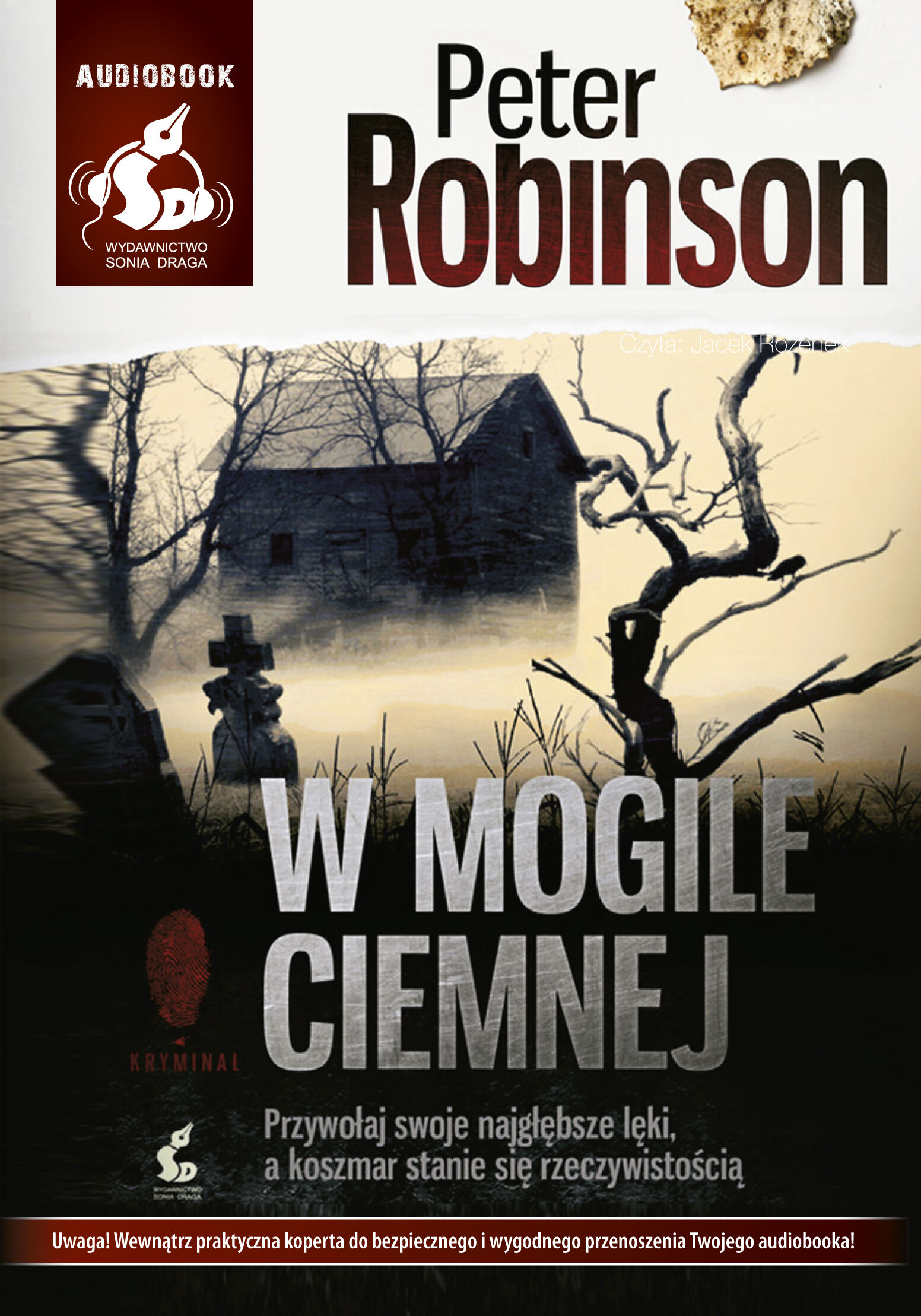 W mogile ciemnej (audiobook CD)