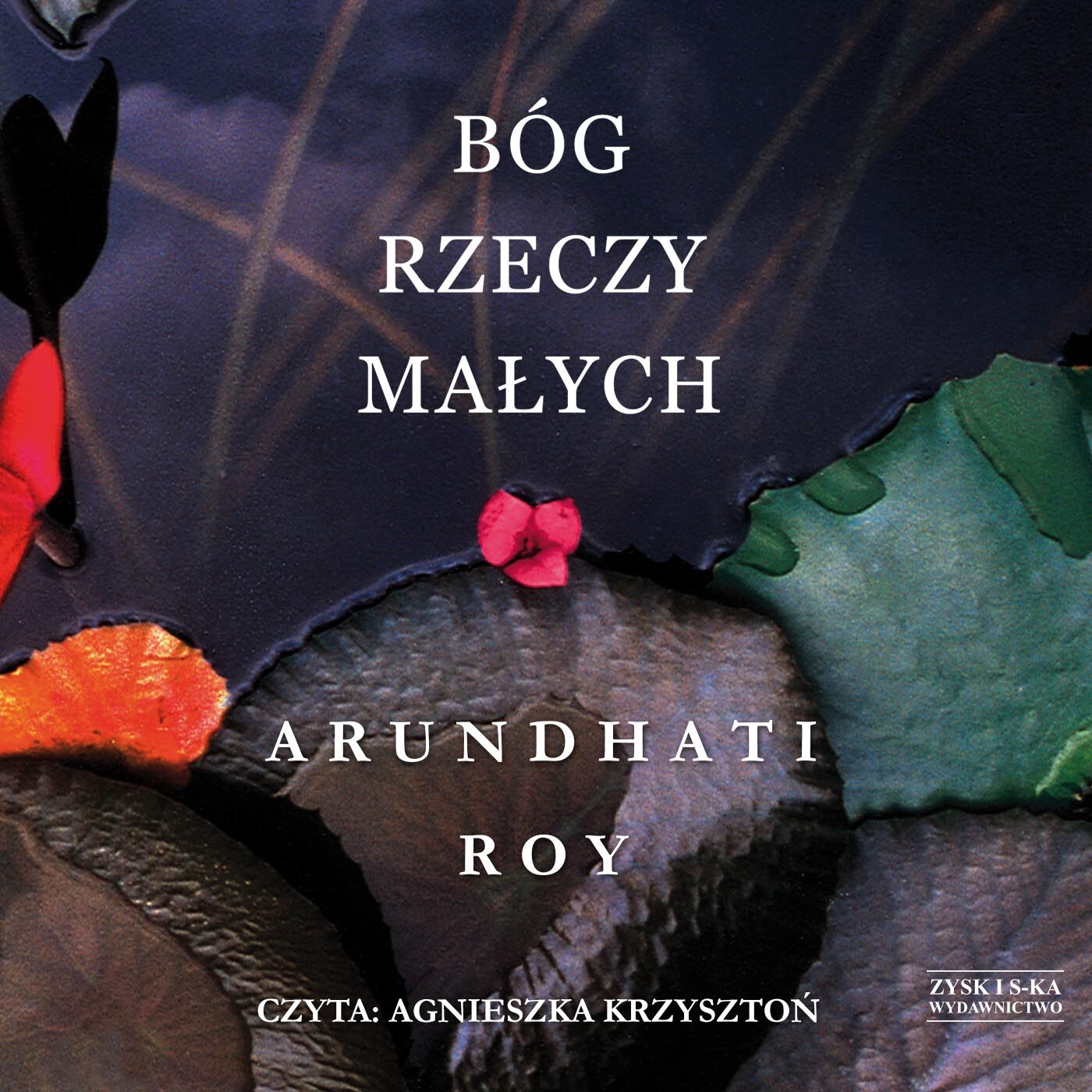 Bóg rzeczy małych (audiobook MP3)