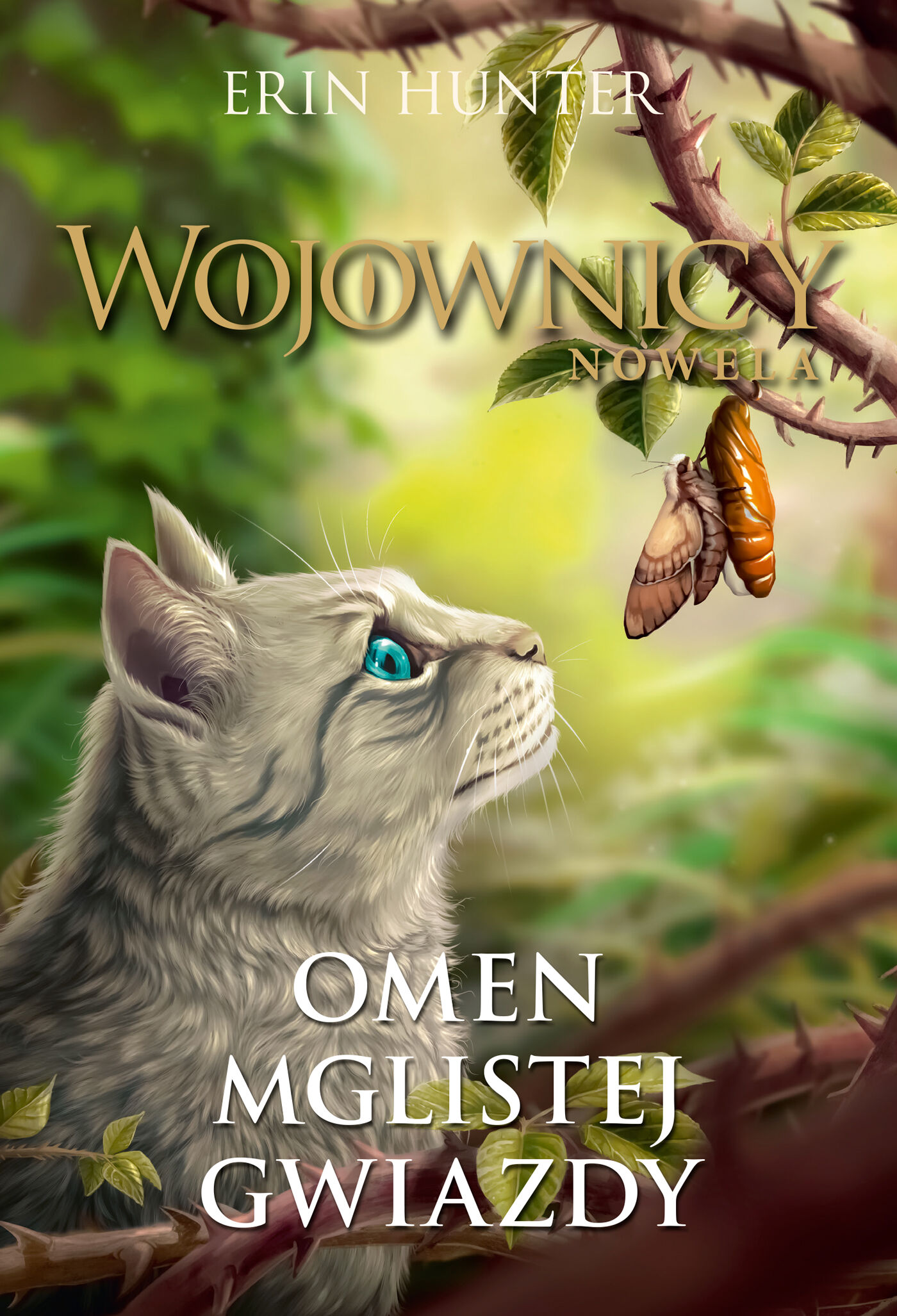 Omen Mglistej Gwiazdy (e-book)