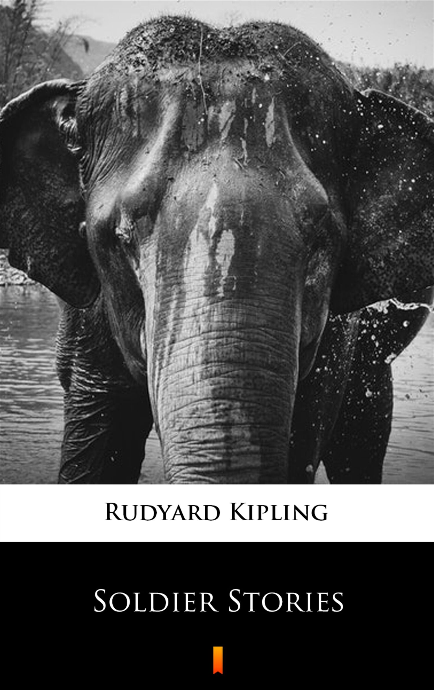 Soldier Stories (e-book)
