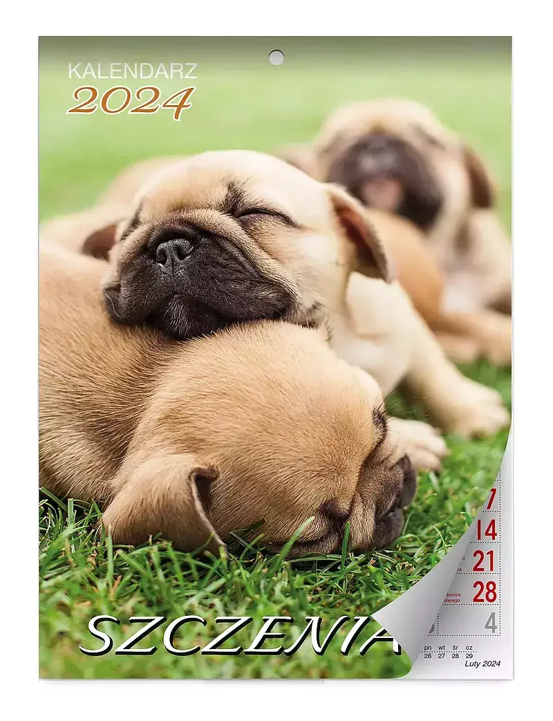 Kalendarz 2024 szczeniaki lux ścienny