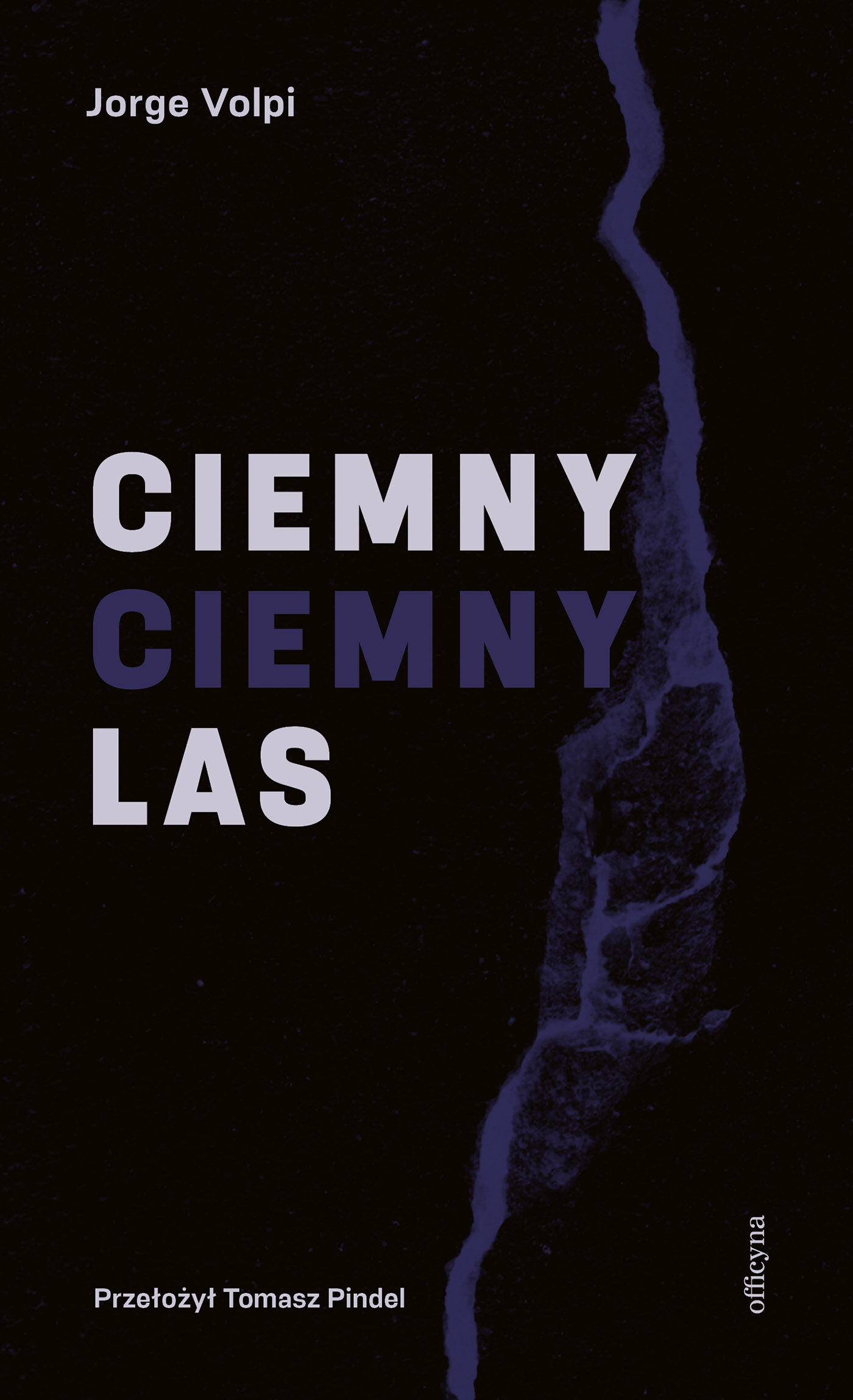 Ciemny, ciemny las (e-book)