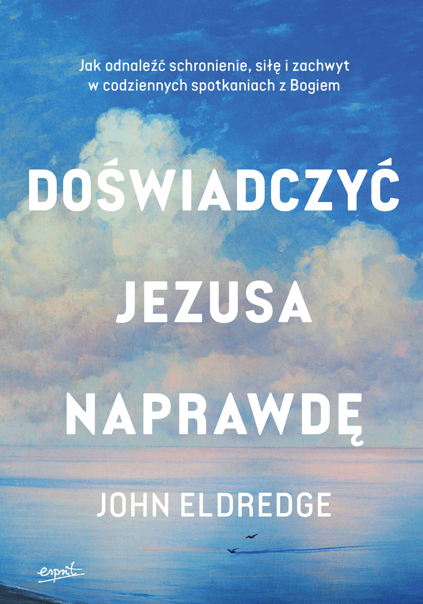 Doświadczyć Jezusa naprawdę EBOOK (e-book)