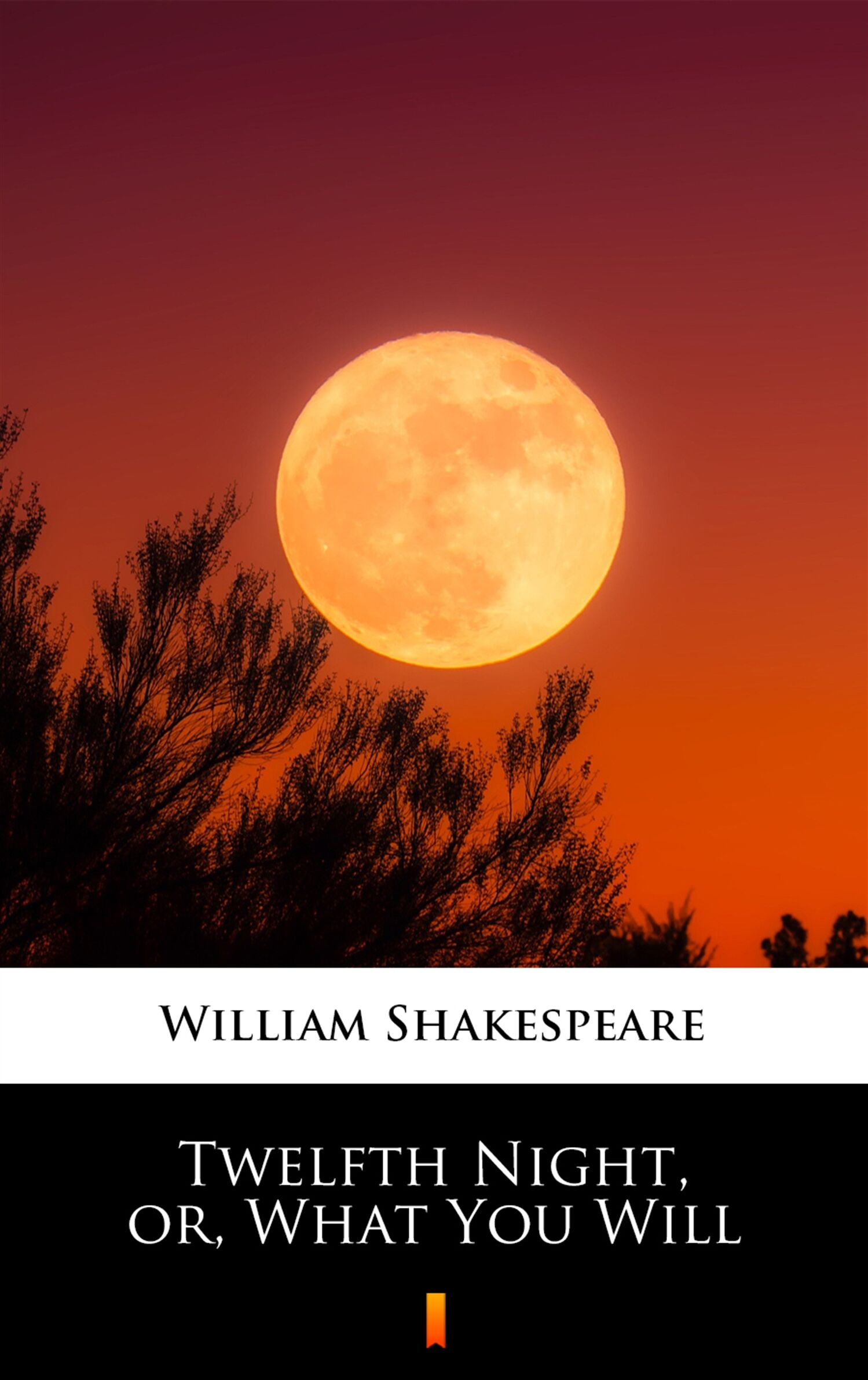 Twelfth Night, or, What You Will (e-book)