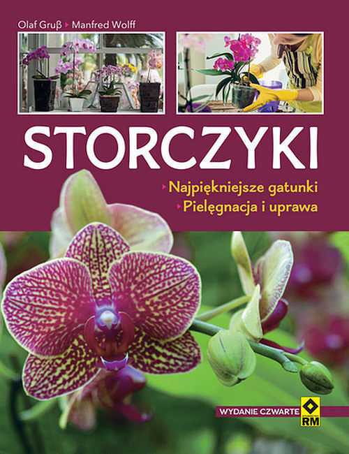 Storczyki. Najpiękniejsze gatunki. Pielęgnacja i uprawa.