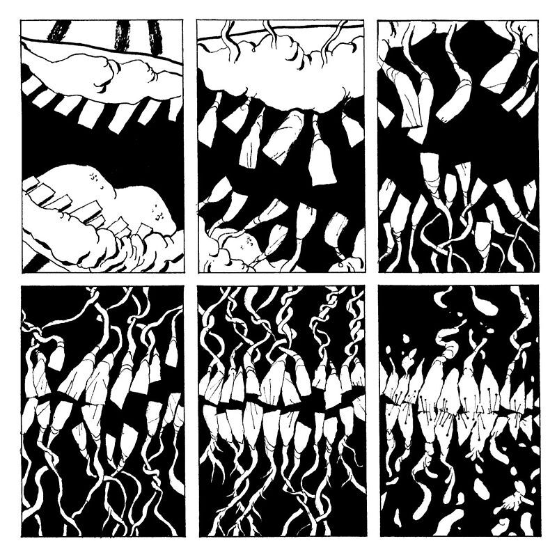 Jenny Haniver