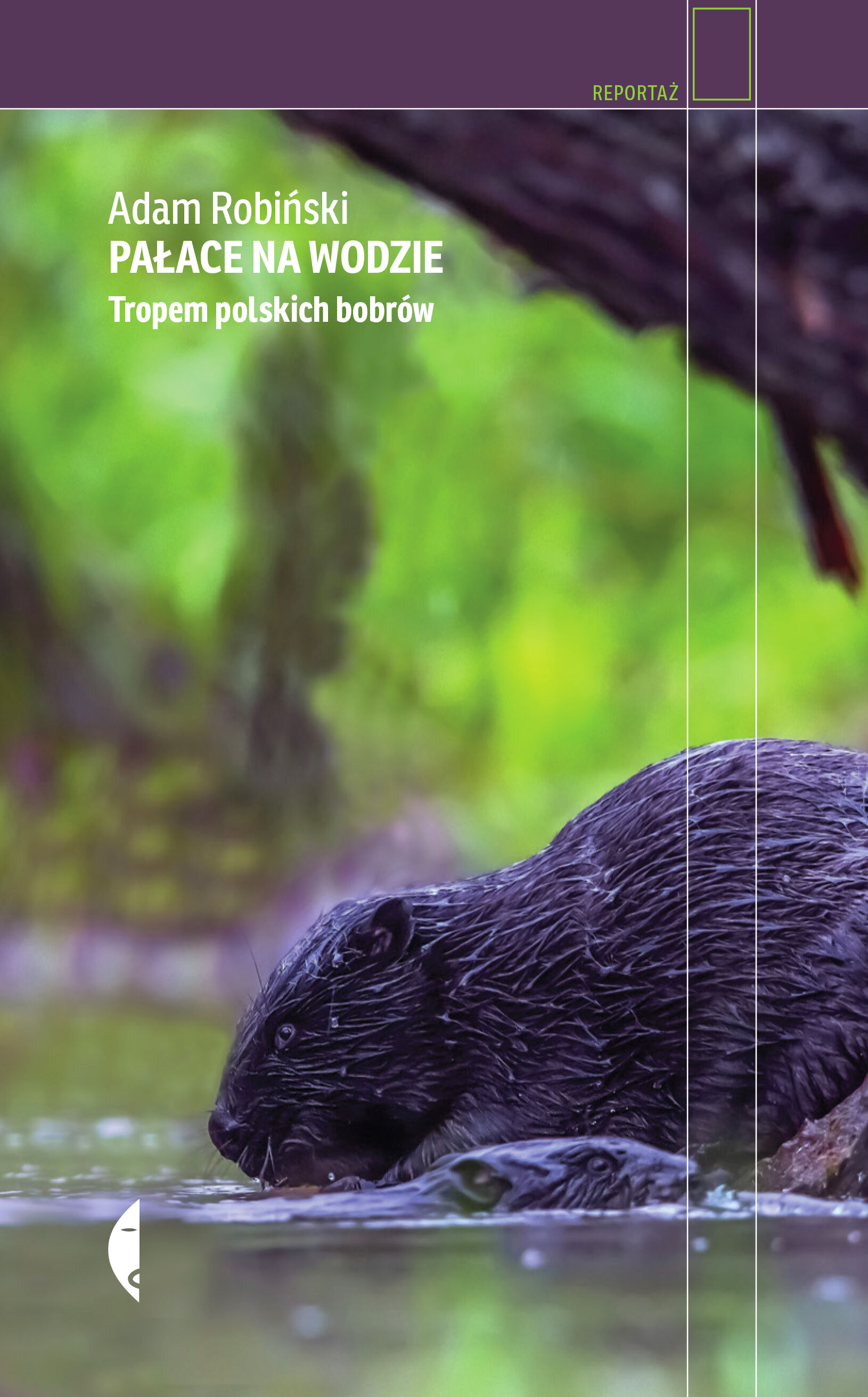 Pałace na wodzie (e-book)