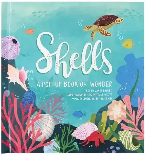 Shells A Pop-Up Book of Wonder