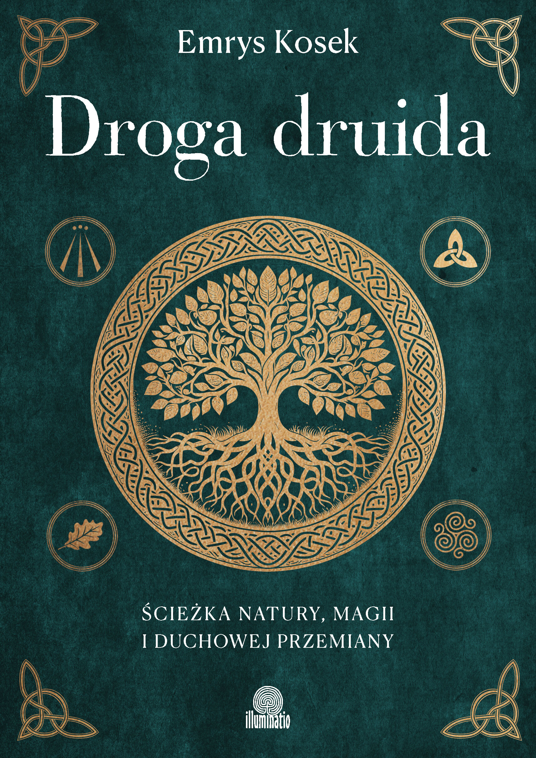 Droga druida