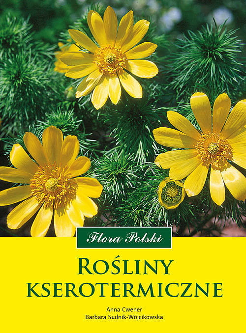 Rośliny kserotermiczne wyd. 2022