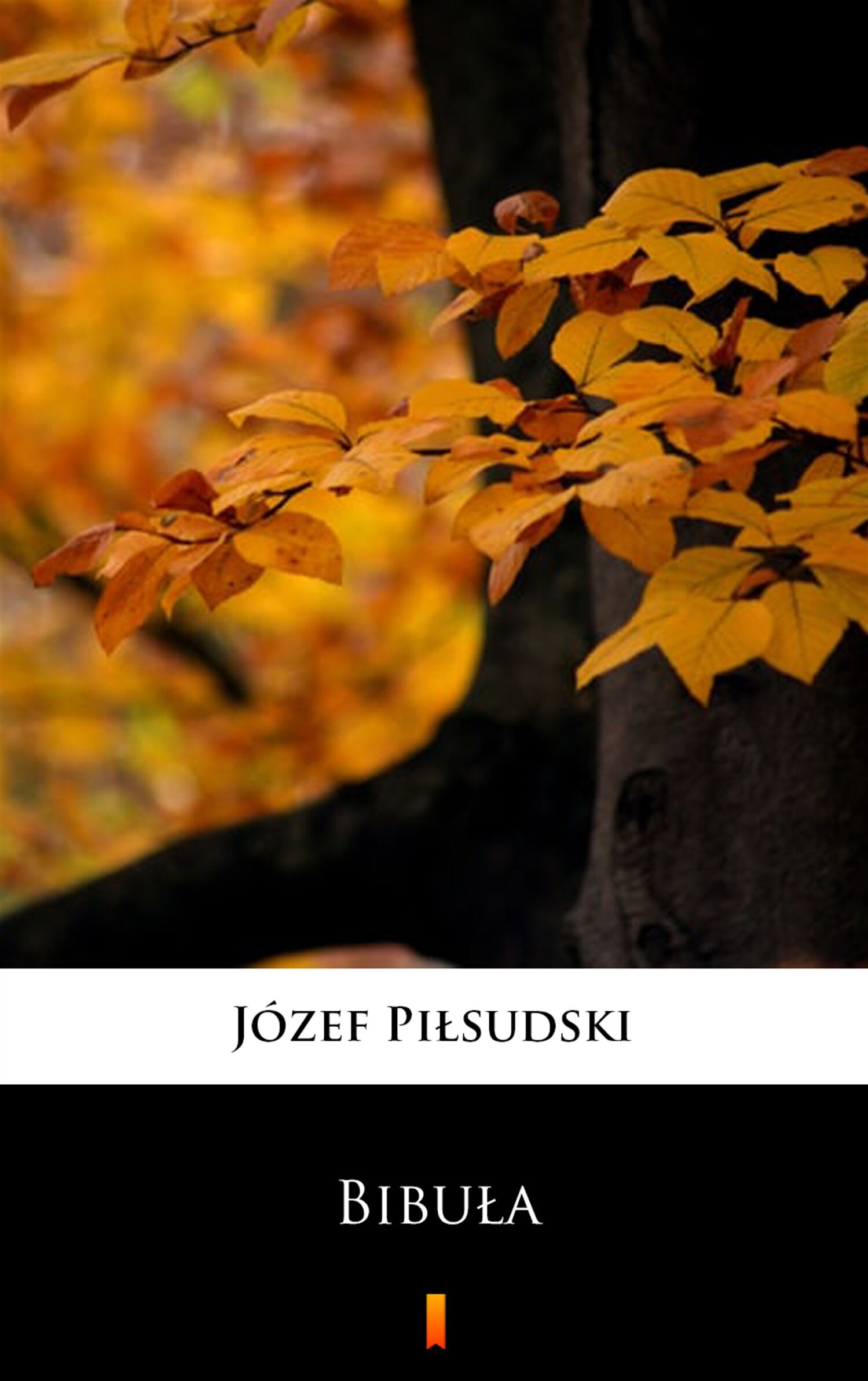Bibuła (e-book)