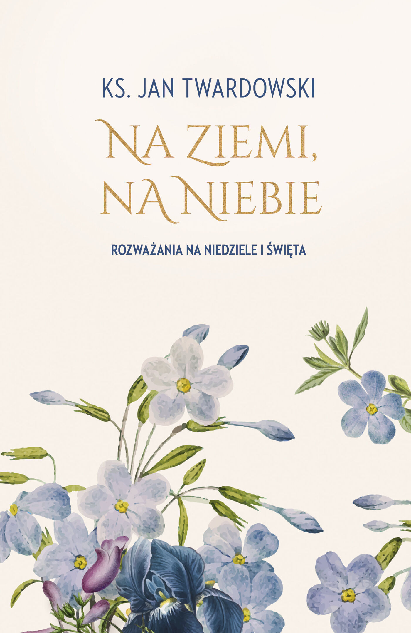 Na ziemi, na niebie. Rozważania na niedziele i święta (e-book)
