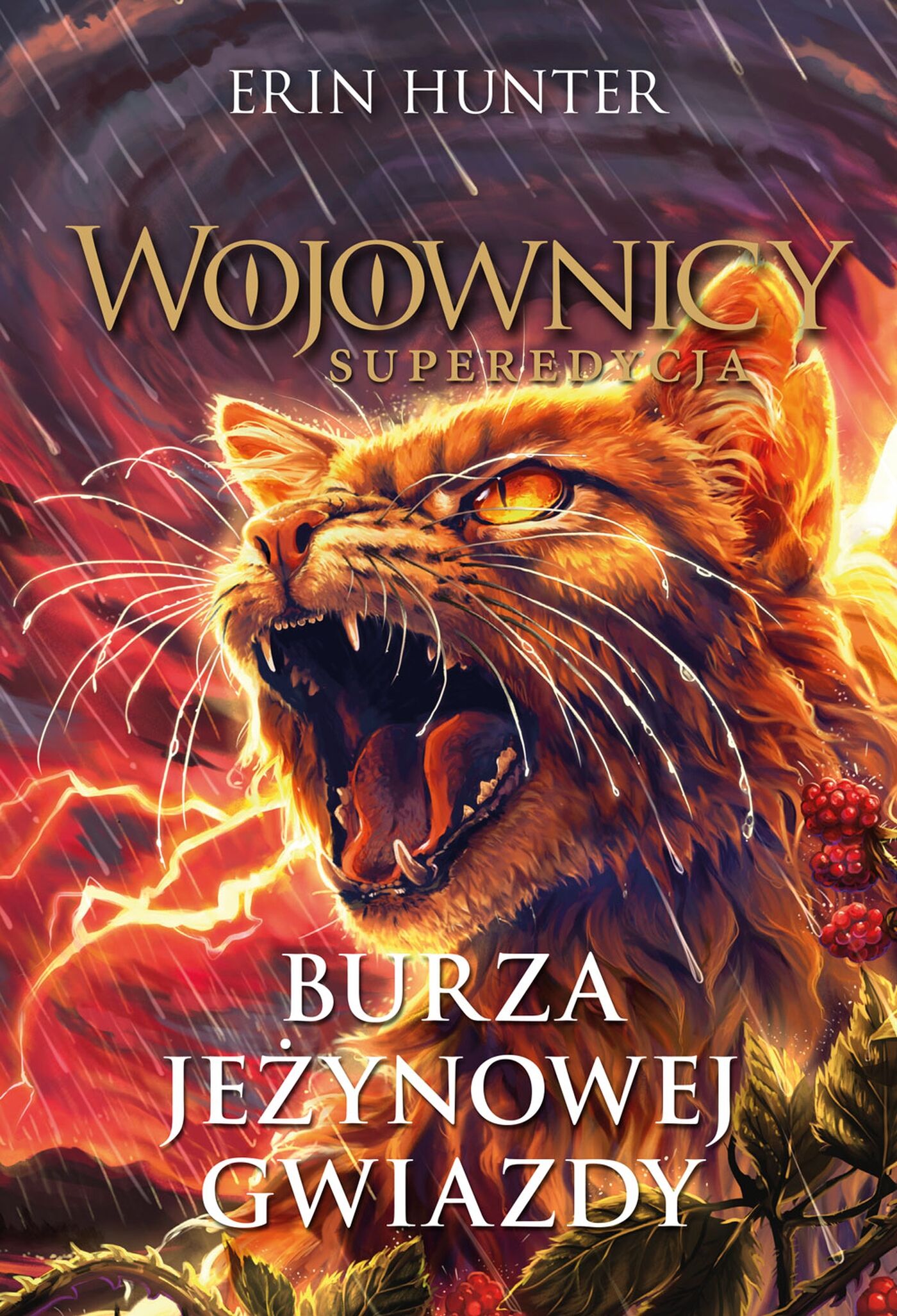 Burza Jeżynowej Gwiazdy. Wojownicy (e-book)
