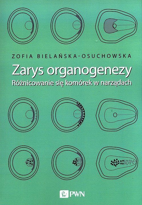 Zarys organogenezy