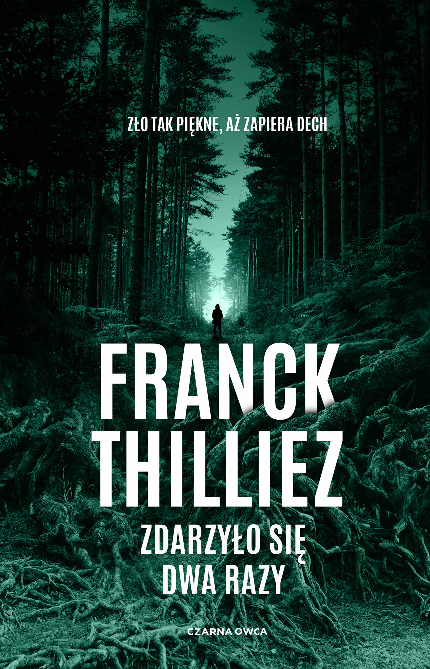 Zdarzyło się dwa razy (e-book)