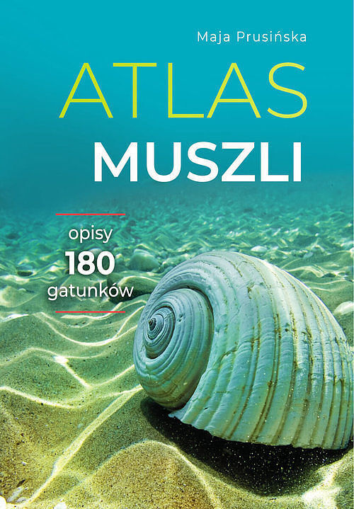 Atlas muszli